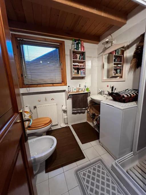 "Fresia" Chalet Turistico A Fisto Apartment Spiazzo  Exterior photo